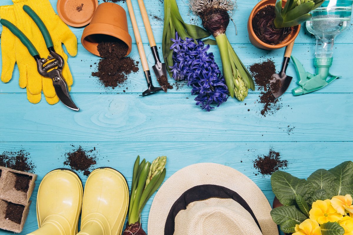 Bunte Gartenaccessoires auf blauem Holzhintergrund – inklusive Handschuhe, Blumentöpfe, Blumenzwiebeln, Gießkanne und Dekoration für den Außenbereich.